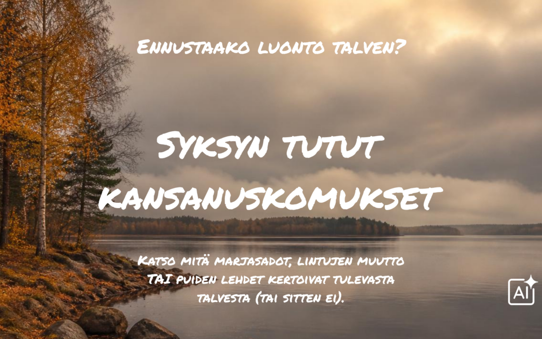 Mitä vanha kansa tiesi talven tulosta? Pihlajanmarjat, muuttolinnut ja syksyn ennusmerkit
